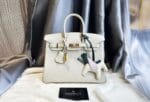 Hermes Birkin 25 eps GHW White 2