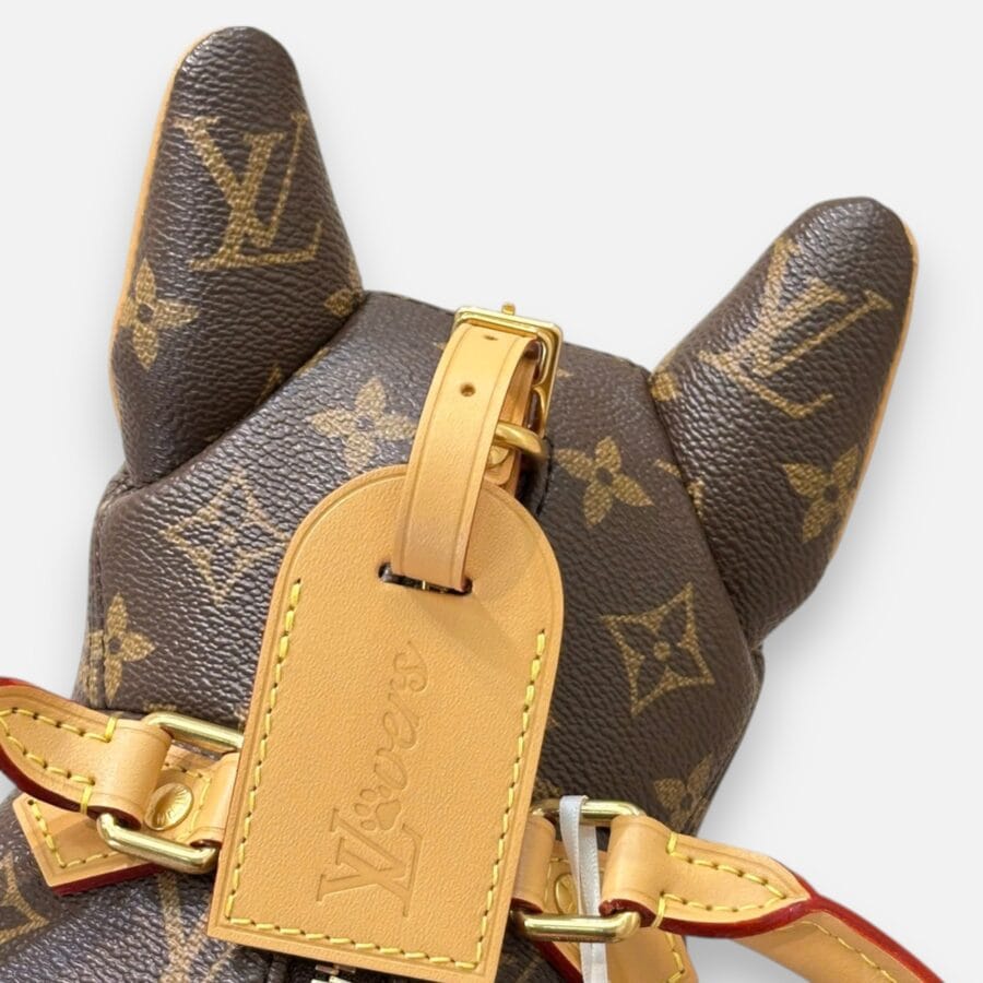 Túi xách Louis Vuitton Pooch Bag Monogram canvas - Image 9