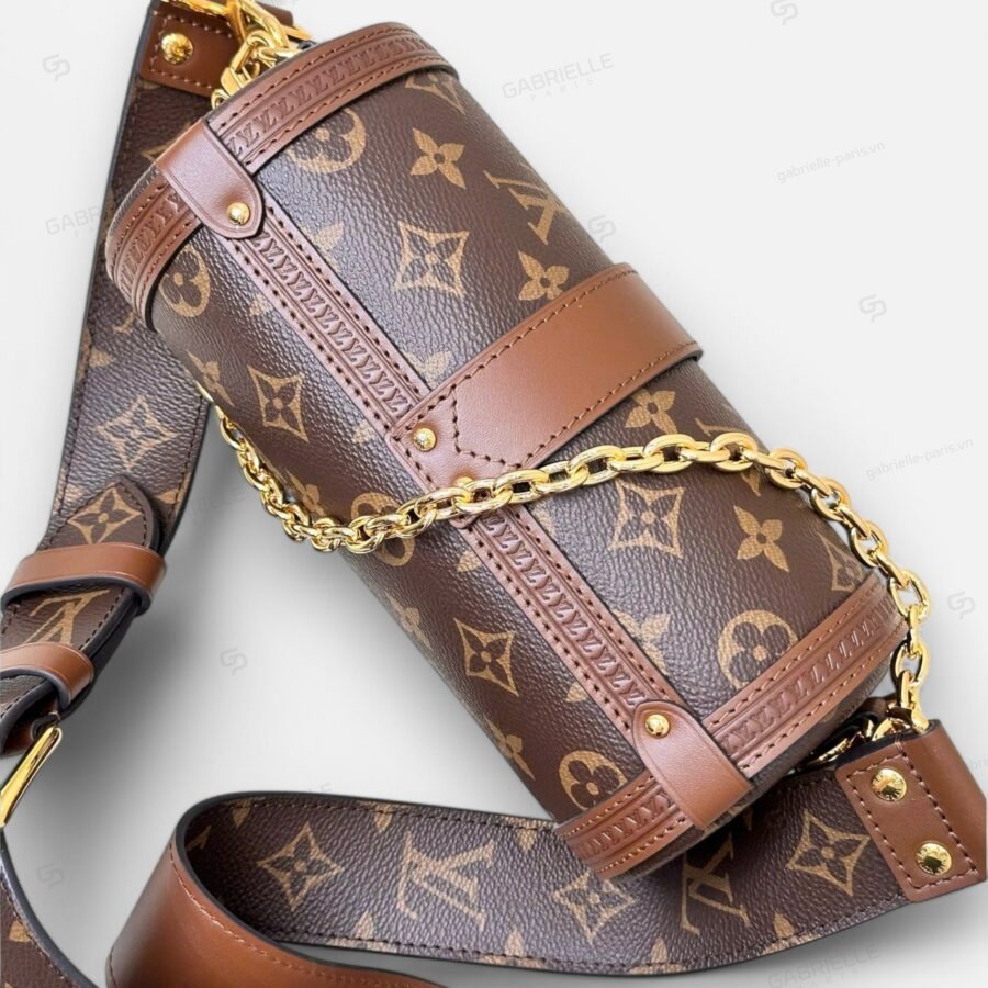 Túi xách Louis Vuitton Papillon Trunk Monogram Canvas - Image 4